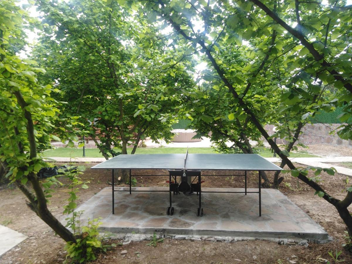 Vila Viktori Pirot Exterior photo